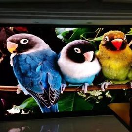 Ultra İnce Led Video Duvar Ekranı Tam Renkli Video Reklam Panoları P1.667 P1.25 İç Mekan RGB